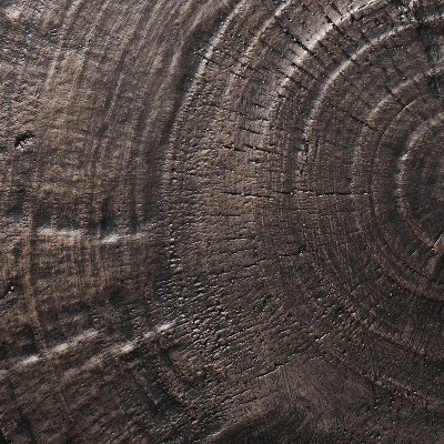 Grantsville Drum Accent Table Black - Threshold⢠Designed With Studio McGee - Image 4