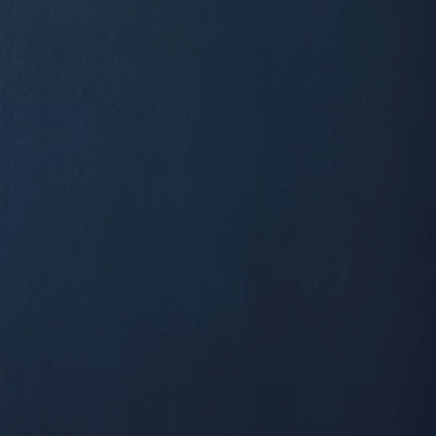 Kennington 2 Door Display Cabinet - Threshold⢠Designed With Studio McGee - Image 6