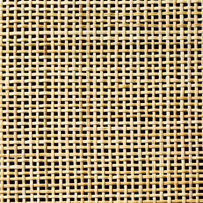 Springville Caned Door TV Stand - Threshold⢠Designed With Studio McGee - Image 5